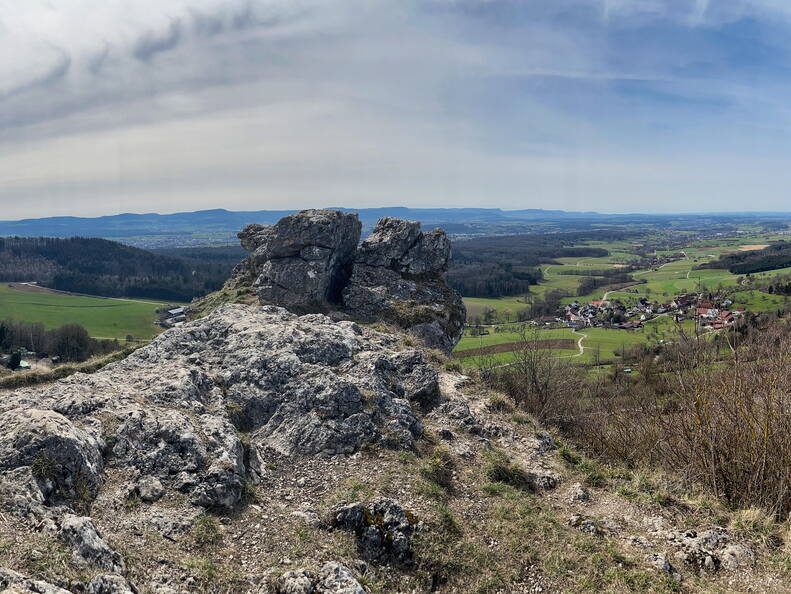 25-03-21 12-13-26 2477